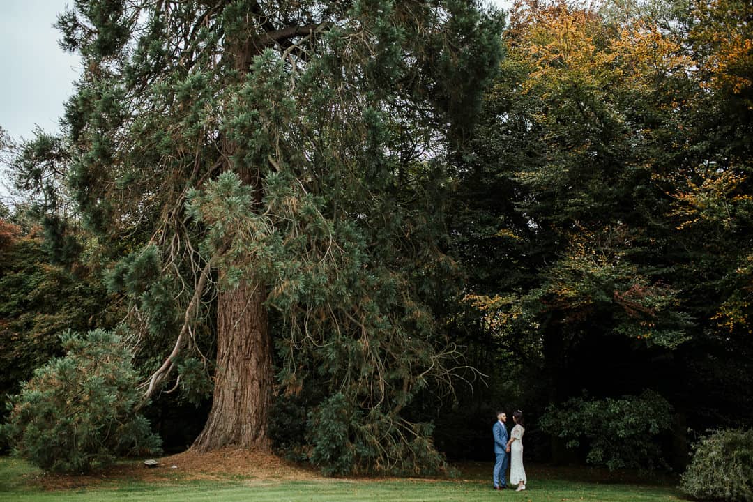 bride and groom in the gardens of marlfield house wedding photogrpaher ireland