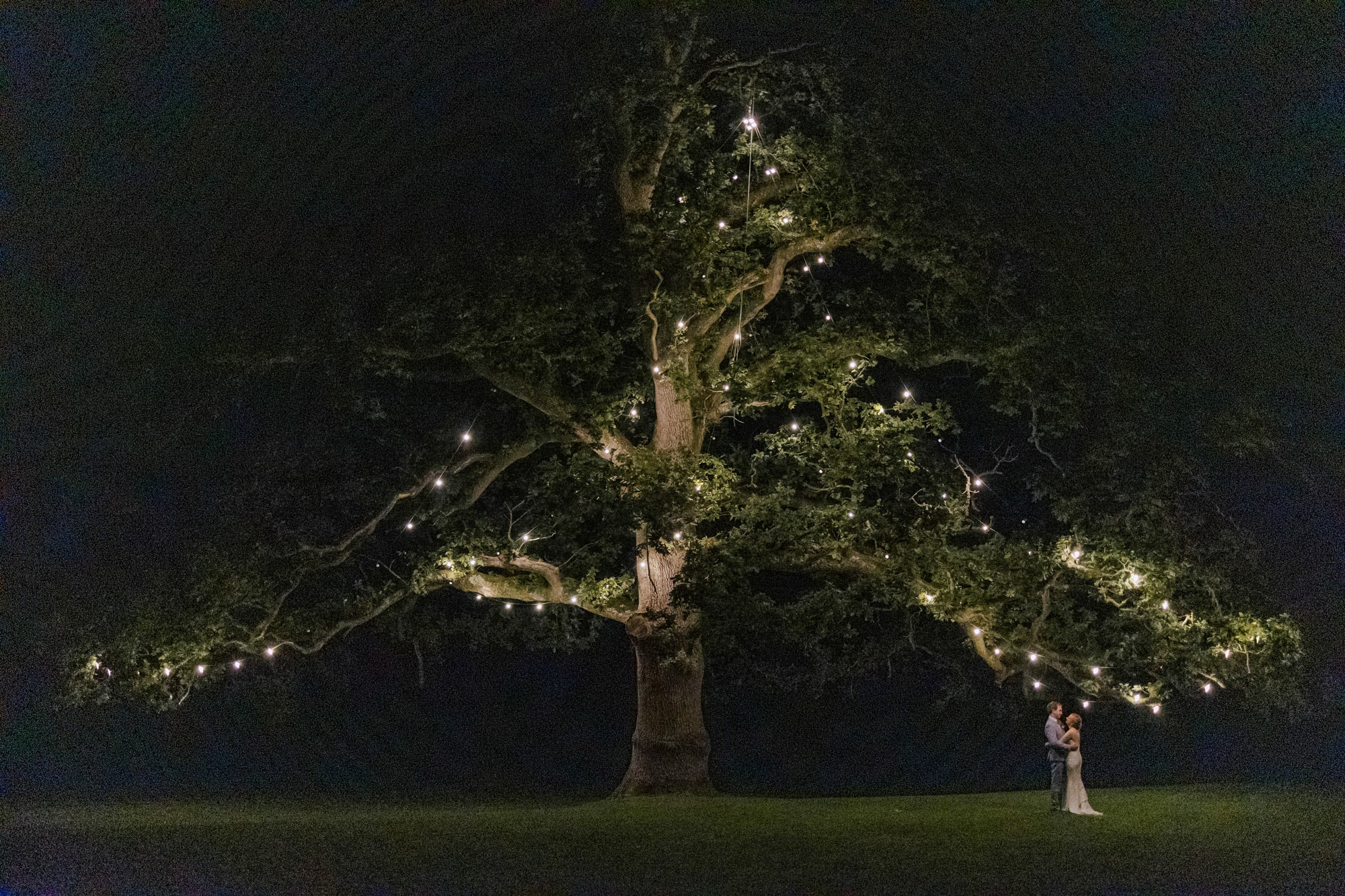 rathsallagh house wedding nighttime photo